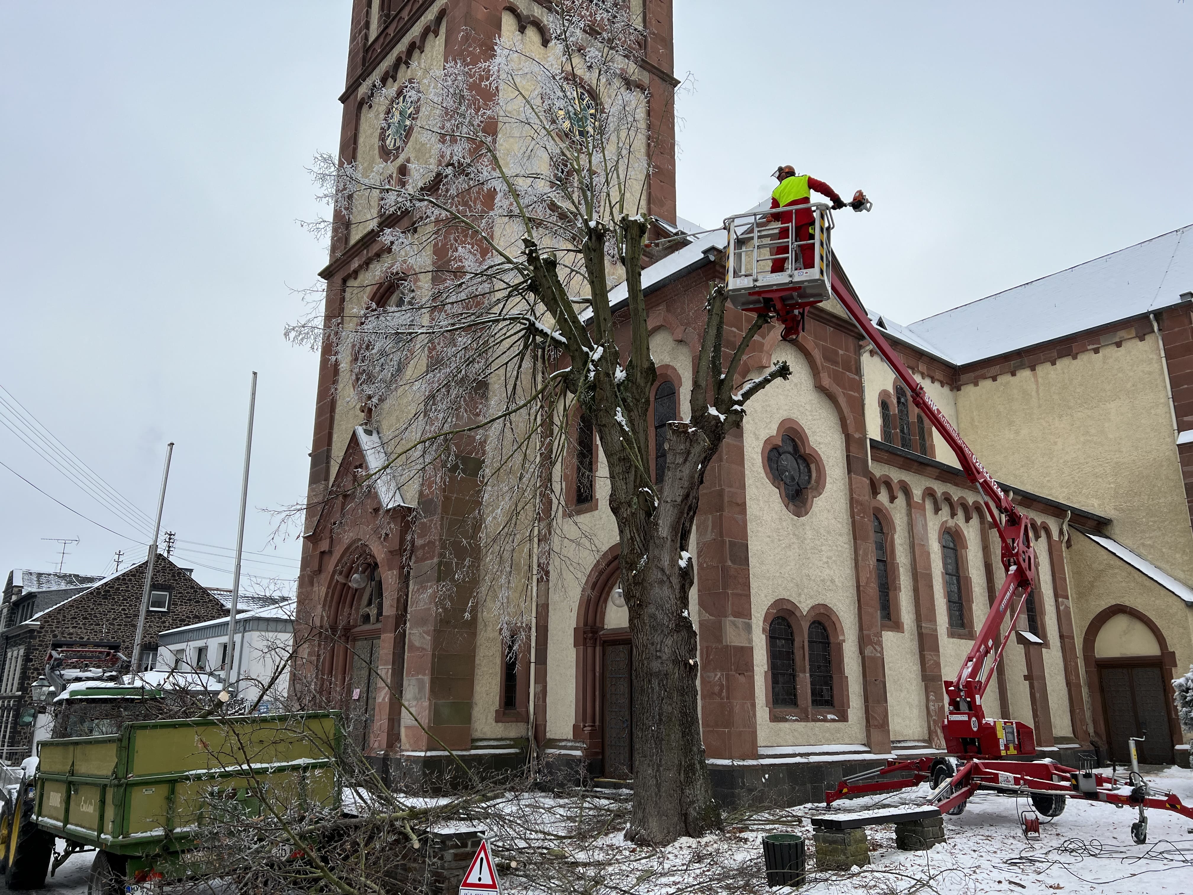 Hubarbeitsbühne bei Baumpflege im Innenhof