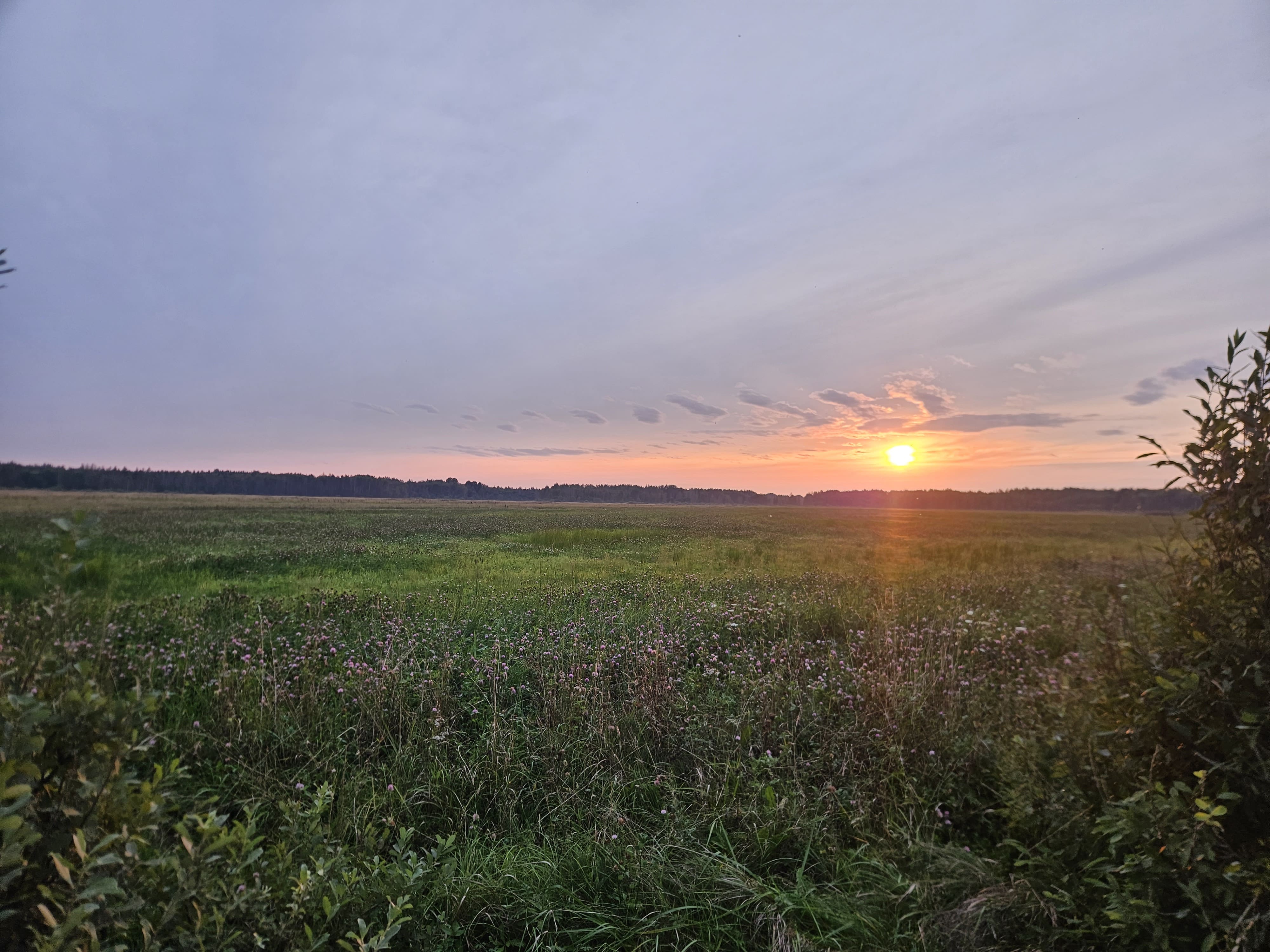 Abendliche Landschaft in der Region