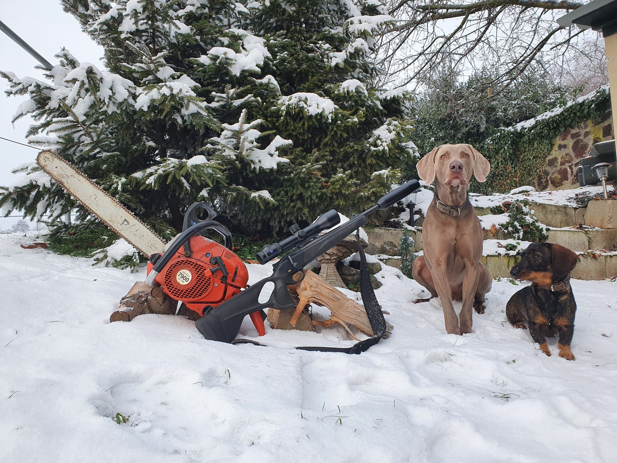 Forst und Jagd – Motorsäge und Jagdhunde im Winter
